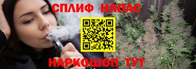 spice Новозыбков