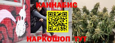 spice Новозыбков