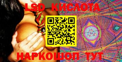spice Новозыбков