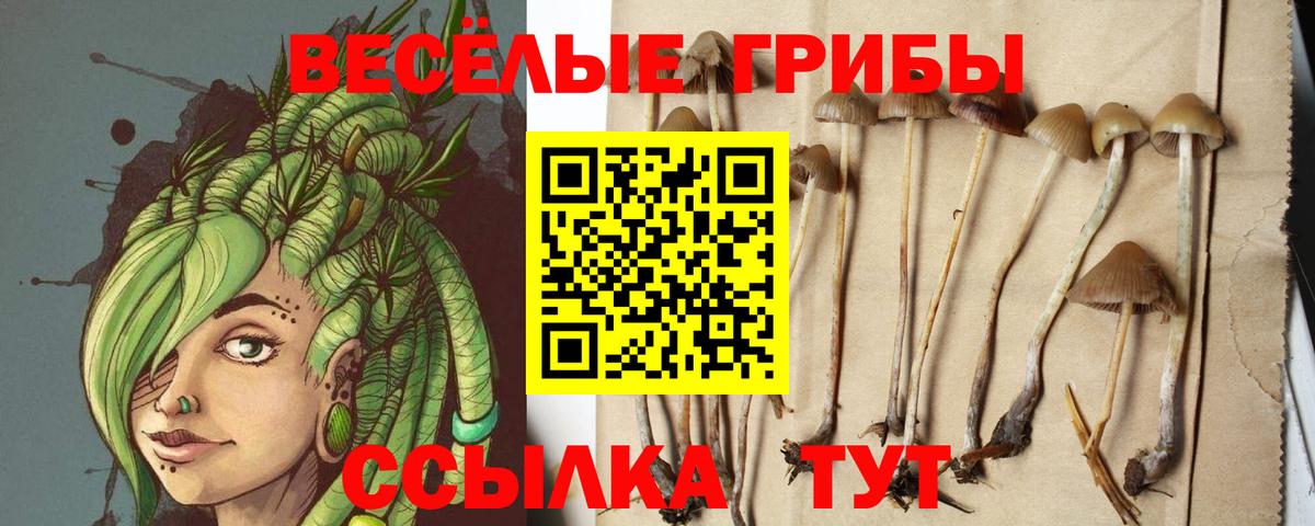 Галлюциногенные грибы мицелий Солнечногорск