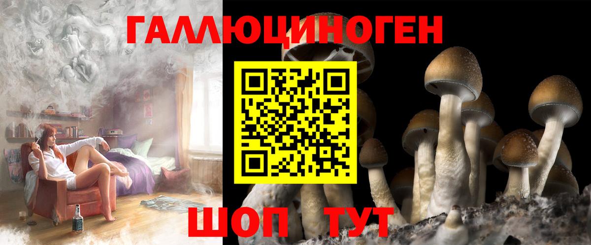 Солнечногорск  Галлюциногенные грибы MAGIC MUSHROOMS  Вход с VPN  Галлюциногенные грибы Psilocybe 