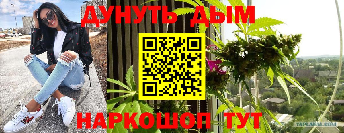 Бошки марихуана планчик Солнечногорск